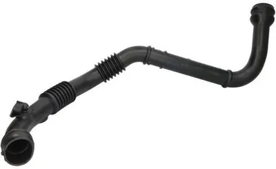 Obrázek produktu pro Hadice pro plnicí vzduch THERMOTEC DCR204TT