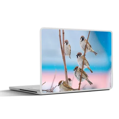 Produktbild von MuchoWow® Laptop Aufkleber Sticker Cover Vögel - Spatz - Tiere - Äste 31x22.5 cm - Laptop-Deko
