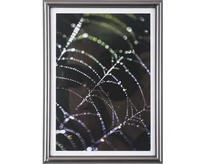 Obrázek produktu pro Fotorám antracit 60x80cm