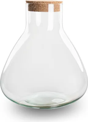 Produktbild von Flaschengarten mit Kork - Sammie - Geschlossenes Terrarium ↑ 26.5 cm