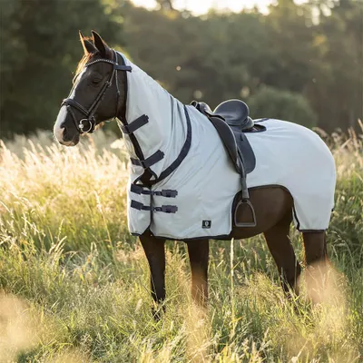 Produktbild von Imperial Riding Ausreitdecke in Größe 125 - Fliegen-Ausreitdecke IRHRoyce