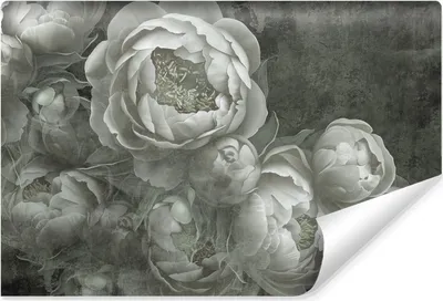 Produktbild von Muralo Vlies Fototapete graue BLUMEN Pfingstrosen Pflanzen Vintage Stil Br. 460cm x Hö. 300cm