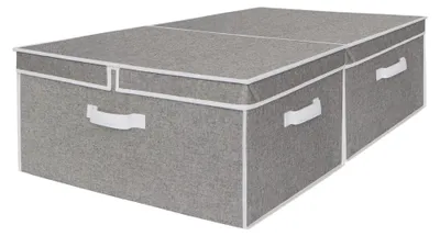 Produktbild von Set von 2 großen Aufbewahrungsboxen mit Deckel, 55 L, grau