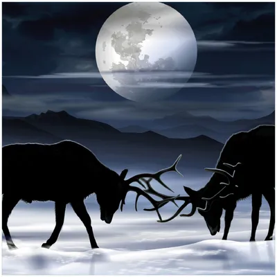 Produktbild von Wallario Memoboard Magnettafel aus Glas, Größe 50 x 50 cm, Motiv Elch im Schnee bei Mondschein - Silhouette am Abend