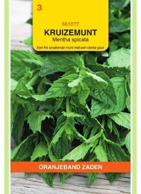 Imagen del producto de Oranjeband: Semillas de menta verde, variedad "Grüne Minze" - 1 paquete de semillas