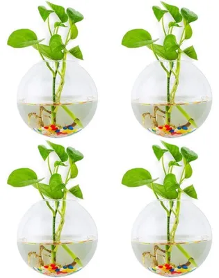 Immagine prodotto di Vasi in vetro da parete, set di 4 pezzi, forma sferica, ideali come fioriere, terrari o contenitori decorativi, con pietre colorate, adatti per interni ed esterni
