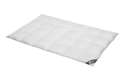 Produktbild von Daunendecke 135x200 cm 100 % Daunen Warme  Bettdecke Steppdecke Daunen SPESSARTTRAUM SILBER