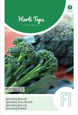 Produktbild von Sprouting Brokkoli Montebello F1 | Brokkolisamen von Hortitops