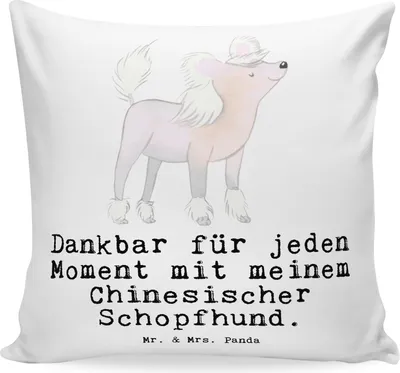 Produktbild von Mr. & Mrs. Panda Sofakissen Chinesischer Schopfhund Moment - Weiß - Geschenk, Kissen 40x40, Deko, Lounge, Chinese Crested Dog, bedruckt, kuschelkissen