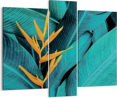 Produktbild von Bild auf Leinwand - Leinwandbild - 3 Teile - Blumen Tropen Blätter - 95x80cm - Wand Bild - Wanddeko - Wandbilder - Leinwanddruck - Bilder - Wanddekoration - Leinwand bilder - Wandbild - CB95x80-5116