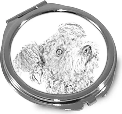 Productafbeelding van Pumi spiegel met foto van hond Art-Dog