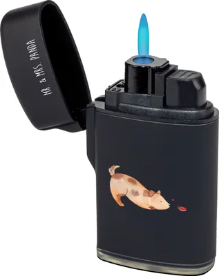 Produktbild von Mr. & Mrs. Panda Feuerzeug Hund Marienkäfer - Schwarz - Geschenk, Zünder, Hunde, Sprüche, zigarettenanzünder, Neugierig, anzünder, sturmfeuerzeug, gas