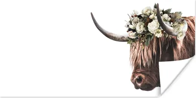 Produktbild von MuchoWow® Poster Schottischer Highlander - Tiere - Blumen 40x20 cm - Poster für die Wand - Poster Schlafzimmer