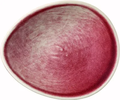 Immagine prodotto di Rosenthal Scarlet Dipschale 10590-405212-15396 4012438580340