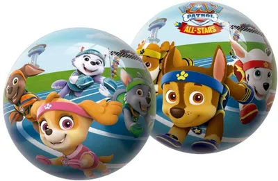 Immagine prodotto di Palla Paw Patrol 23 cm