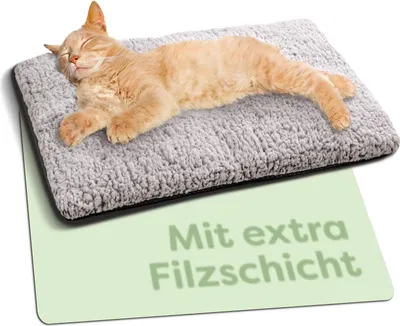 A cat sleeping on a self-heating mat.