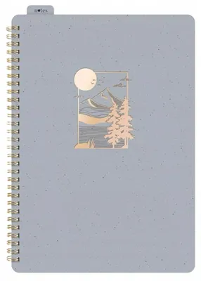 Image de Cahier à spirales A4 ligne 80l/80g gris