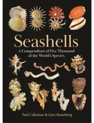 Obrázek produktu pro Seashells