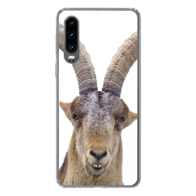 Produktbild von MuchoWow® Handyhülle Schutzhülle Hülle für Huawei P30 Steinbock - Tiere - Hoorn Silikon Softcase Handy Hülle - Kartenbesitzer