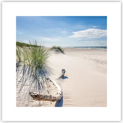 Produktbild von Poster - Poster ohne Rahmen - Mrzezyno Strand Meer - 30x30 cm - Wand Bild - Wanddeko - Wandbilder - Kunstposter - Wandposter - Bilder - Kunstdruck - Wanddekoration - Wandbild - P2XAC30x30-4281