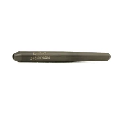 Image de Ligne de gicleur BOSCH F 00R J01 247