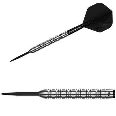 Produktbild von Mission | Argent | Steeldarts | 90% Tungsten | 24g | Natural | Dartpfeile Set