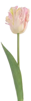 Produktbild von Clayre & Eef Kunstblume Rosa Kunststoff
