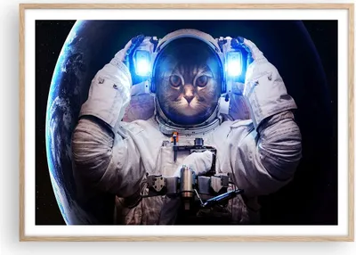Produktbild von Gerahmtes Poster - Rahmen in heller Eiche - Kosmonaut Katze - 100x70 cm - Wand Bild - Wanddeko - Wandbilder - Wandposter - Bilderrahmen - Bilder - Kunstdruck - Wandbild - P2NAA100x70-3734