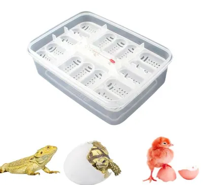 Productafbeelding van Reptielenkweekbox, 16 roosters, transparante broedbak voor reptielen-eieren