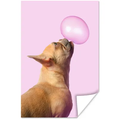 Produktbild von MuchoWow® Poster Hund - Tiere - Kaugummi - Rosa 120x180 cm - Kunstposter