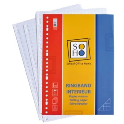 Productafbeelding van Ringboekpapier, 10x10 mm, 23-rings, A4-formaat, 100 stuks