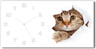 Produktbild von Wanduhr aus Glas – 60x30 cm - Glasbild - Glasuhr - Gehärtetes Glas - weisse-zeiger - Katze