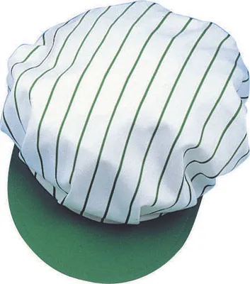 Produktbild von Leiber Schirmmütze 02/829/08 Grün