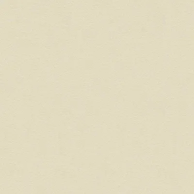 Produktbild von A.S. Creation Designdschungel 2 by Laura N. | 347244 | Einfarbig | 0.53 m x 10.05 m | Beige