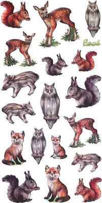 Produktbild von SOFTY - Sticker Waldtiere I