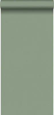 Obrázek produktu pro Walls4You Tapeta zelená - 935342 - 0,53 x 10,05 m