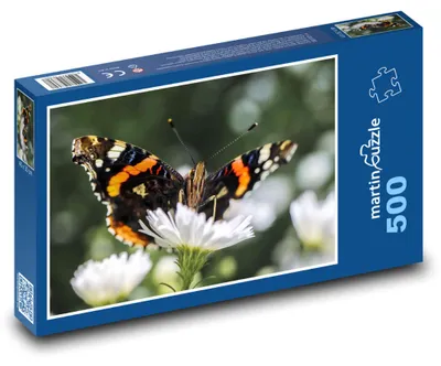 Obrázek produktu pro Puzzle 500 Motýl na květině - martinpuzzle