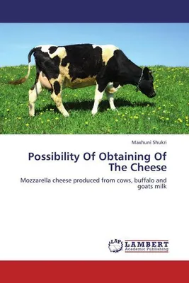 Produktbild von Possibility Of Obtaining Of The Cheese