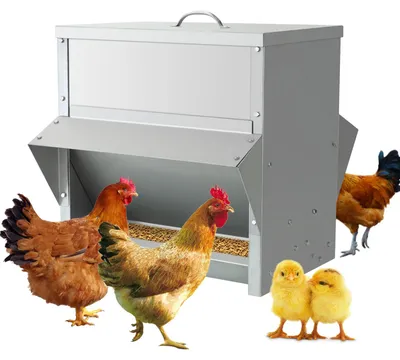 Image de Distributeur automatique de nourriture pour poulets, capacité de 25 kg, en acier inoxydable, résistant aux intempéries