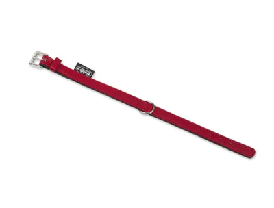 Produktbild von Nobby 78145-01, Hund, Standardkragen, Rot, Einfarbig, M-L, 2,5 cm