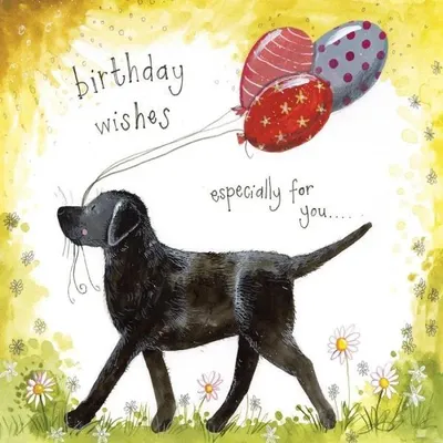 Image de Carte d'anniversaire S371 « Labrador avec des ballons » - Alex Clark