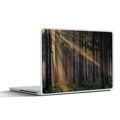 Produktbild von MuchoWow® Laptop Aufkleber Sticker Cover Bäume - Wald - Sonne - Pflanzen 31x22.5 cm - Laptop-Deko