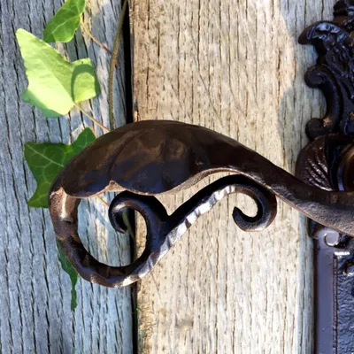 A close-up of an ornate, dark brown metal door handle attached to a weathered wooden door. Green ivy leaves are visible on the left side of the image.