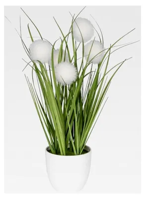 Produktbild von Kugelgras | Kunstpflanze mit Topf | 30 cm hoch (weiße Blüten)