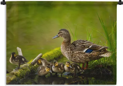 Produktbild von MuchoWow® Wandteppich Wandbehang Ente - Vögel - Wasser - Zweig - Moos 150x112.50 cm Tapisserie Dekoration Wandtuch - Wanddecke - Wandteppiche