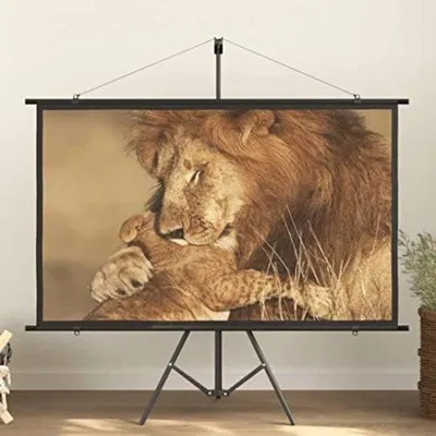 Productafbeelding van Famanu Beamer Leinwand - Projectiescherm met verstelbaar statief
