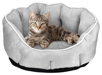 Produktbild von Hundebett Katzenbett Plüsch Weich Haustierbett Grau 46x46x23cm