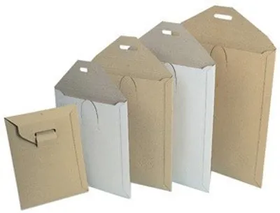 Produktbild von PAPYRUS Buchbox Versandtaschen 240 x 315 mm (Z3) braun 100 Versandtaschen