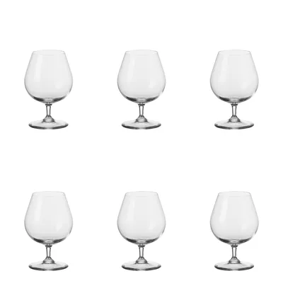 Produktbild von Leonardo Ciao+ Cognacschwenker 6er Cognacglas Schwenker Brandy Glas Stoßfest