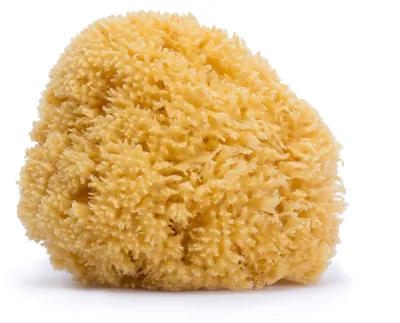 Produktbild von Suavinex 3302927 Naturschwamm Gross